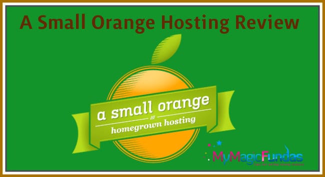a-small-orange-review